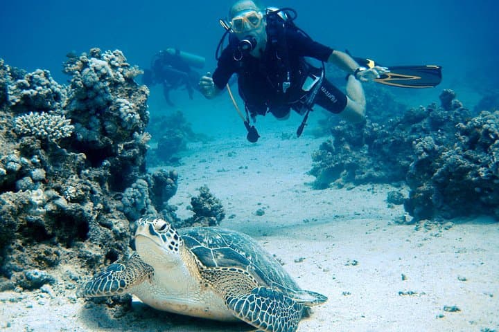 Intro Scuba Diving in Sharm El Sheikh — Day Dives to Temple and Shore Reefs photo 2