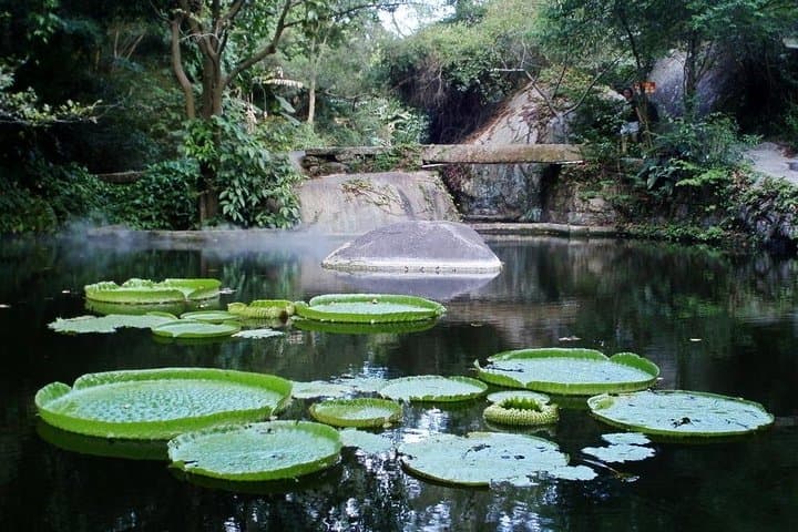Xiamen Private Day Tour: Gulangyu Island & Xiamen Botanic Garden photo 3