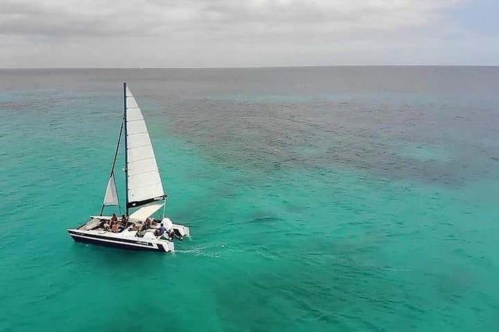 Barbados Small-Group Catamaran Snorkel Cruise with Open Bar photo 3