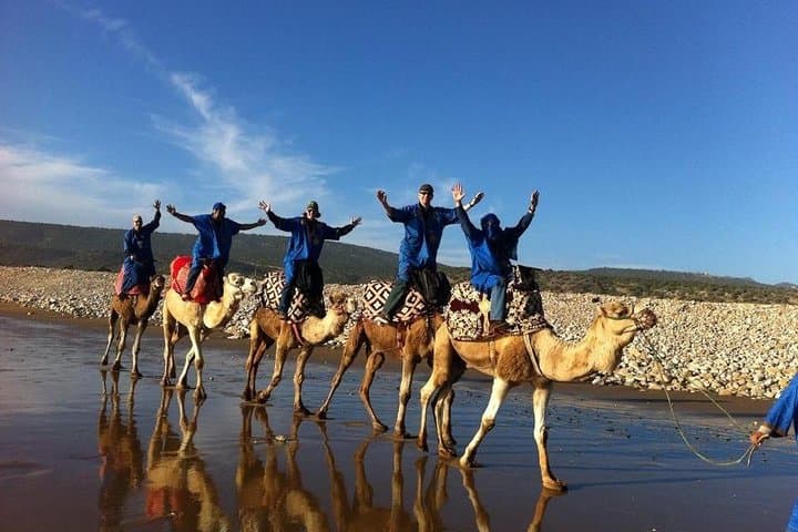 Camel Riding Agadir: Eucalyptus Trails & Souss Massa Wildlife Experience photo 3