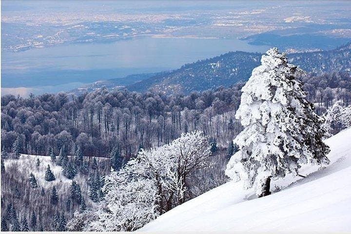 Day Trip to Sapanca & Maşukiye: VIP Minivan Tour from Istanbul photo 4