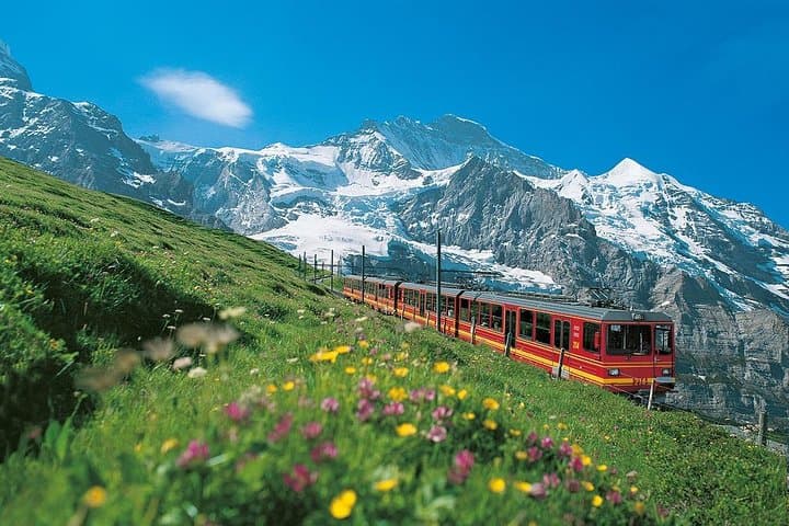 Private Interlaken Day Trip from Geneva — Jungfrau & Schilthorn Options photo 3