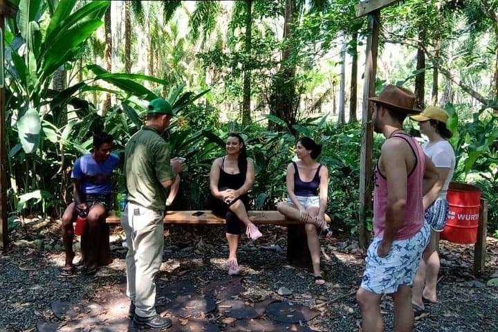 Mangrove Walk: Quepos Monkey & Mangrove Hike in Costa Rica photo 6