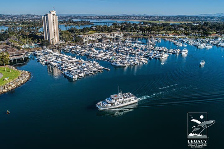San Diego 3-Hour Whale Watching Cruise — Rapid Ocean Wildlife Excursions photo 1