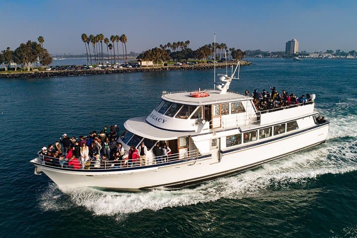 San Diego 3-Hour Whale Watching Cruise — Rapid Ocean Wildlife Excursions photo 2