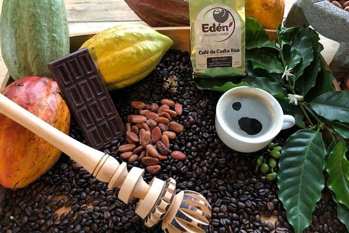 Eden Mocca: Chocolate & Coffee Workshop in La Fortuna
