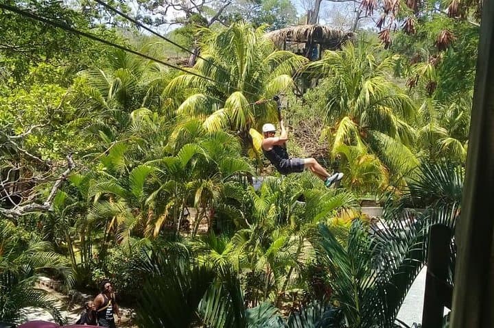 Roatan Sloth & Zip: 16-Line Jungle Zipline and Sloth & Monkey Park photo 6