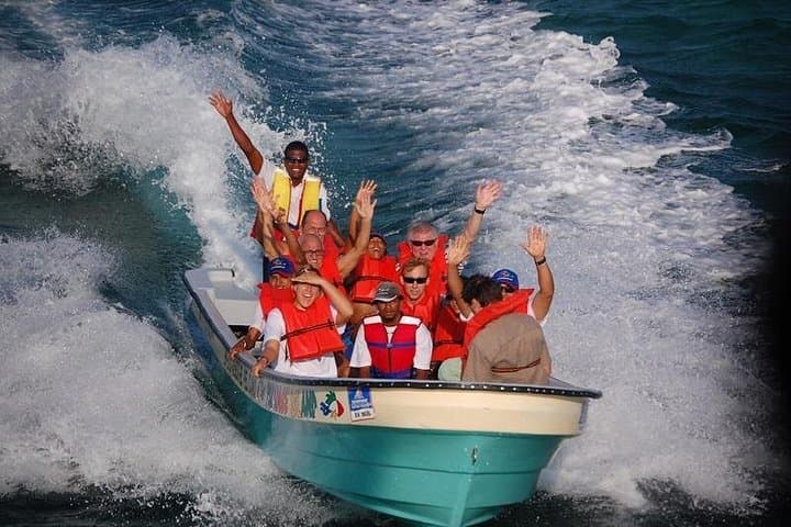 Full-Day Cayo Arena (Paradise Island) Snorkel Tour from Puerto Plata photo 4