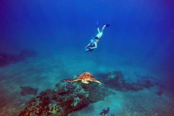 Turtle Town Sea Scooter Snorkel at Wailea — Guided GoPro Tour photo 3