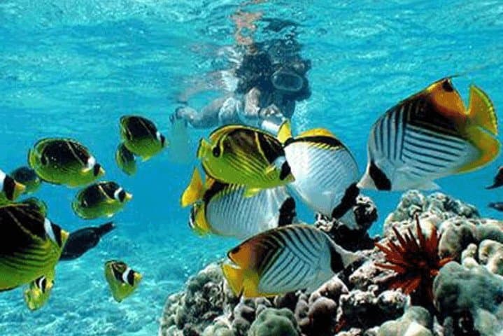 Bali Blue Lagoon Snorkeling: All-Inclusive Padangbai Day Trip photo 4