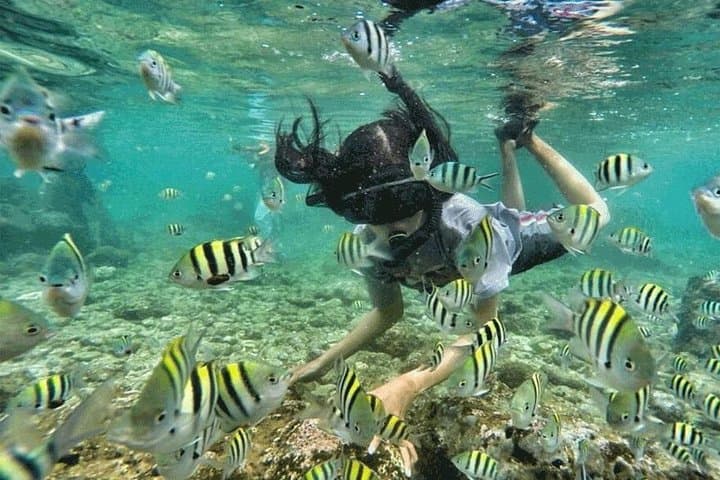 Bali Snorkeling at Blue Lagoon & Tanjung Jepun: Padangbai Day-Trip Guide