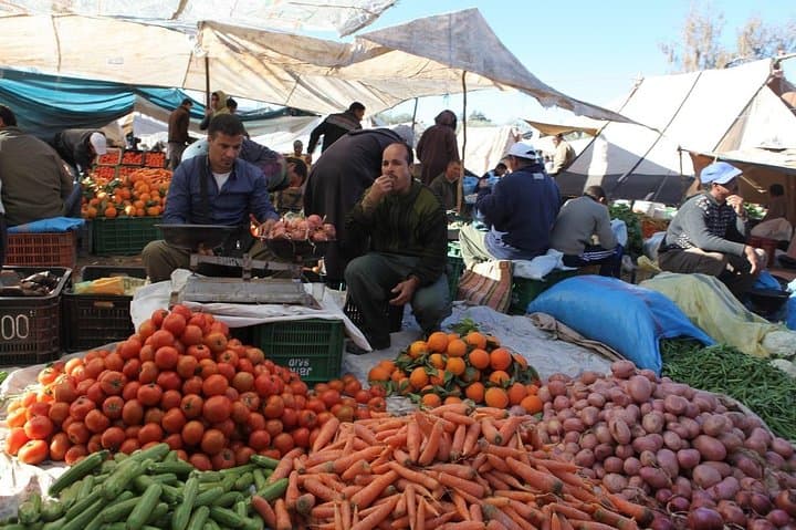 Atlas Mountains & Berber Villages: Private Day Tour from Marrakech