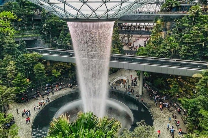Inside Jewel Changi: A 90‑Minute Highlights Walking Tour of Singapore’s Indoor Rainforest