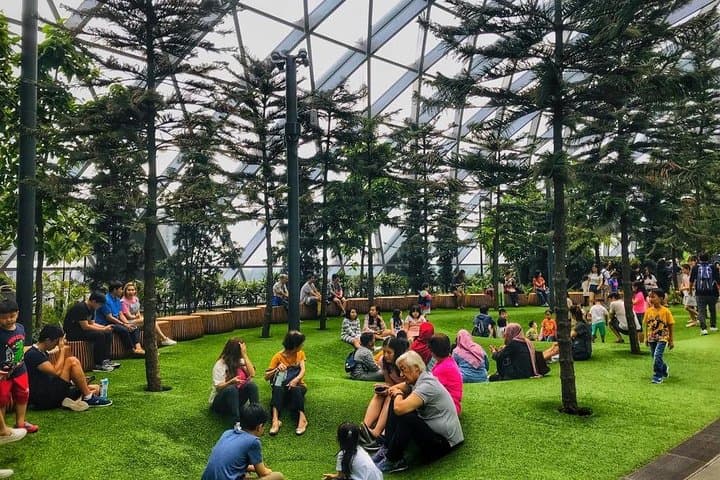 Inside Jewel Changi: A 90‑Minute Highlights Walking Tour of Singapore’s Indoor Rainforest photo 3