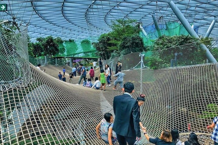 Inside Jewel Changi: A 90‑Minute Highlights Walking Tour of Singapore’s Indoor Rainforest photo 4