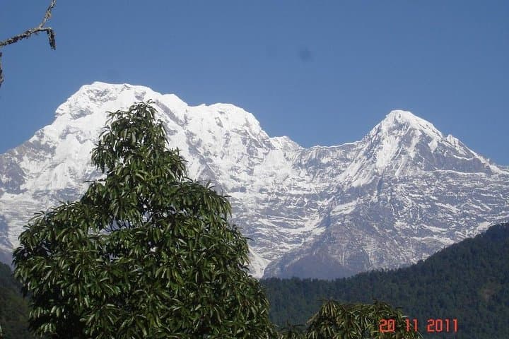 Australian Camp Panorama Trek: 3-Day Dhampus & Australian Camp Trek from Pokhara