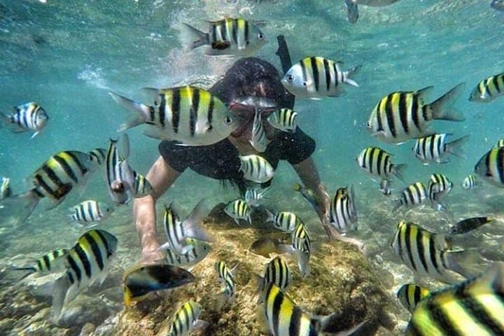 Bali Blue Lagoon Snorkeling: All-Inclusive Padangbai Day Trip photo 5