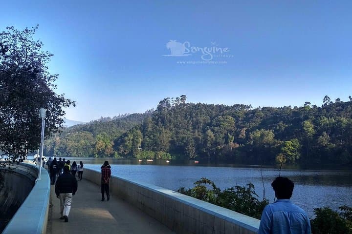 5-Day Kerala Budget Tour: Munnar Hills, Thekkady Wildlife & Alleppey Backwater Houseboat photo 2