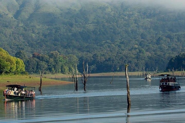 5-Day Kerala Budget Tour: Munnar Hills, Thekkady Wildlife & Alleppey Backwater Houseboat photo 4