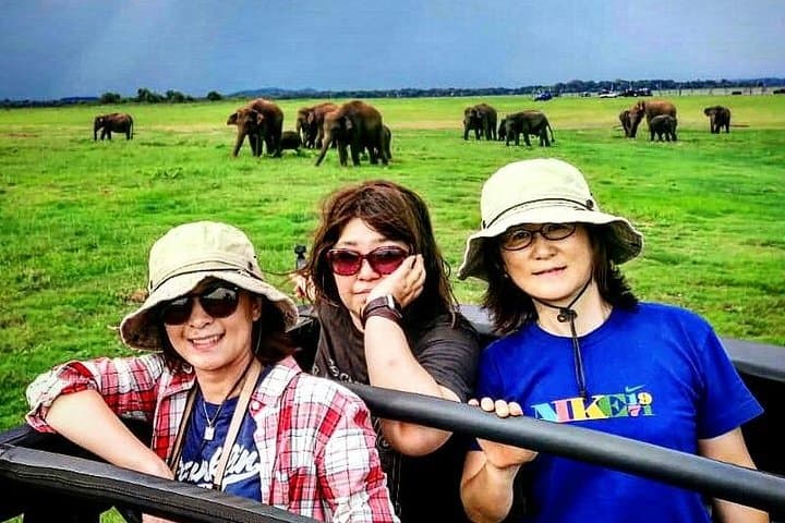 Minneriya National Park Safari & Fireflies Tour — Elephant Herds and Nightlight Views photo 3