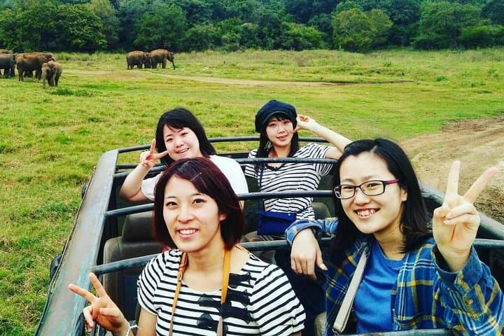 Minneriya National Park Safari & Fireflies Tour — Elephant Herds and Nightlight Views photo 2
