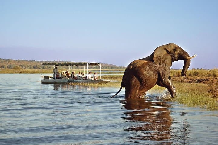 Overnight Chobe Camping Safari: River Cruise, Game Drives & Riverside Camp photo 5