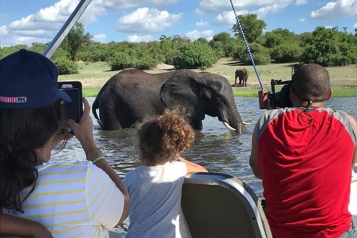 Chobe Day Trip from Livingstone: Full-Day Chobe National Park Safari & River Cruise photo 4