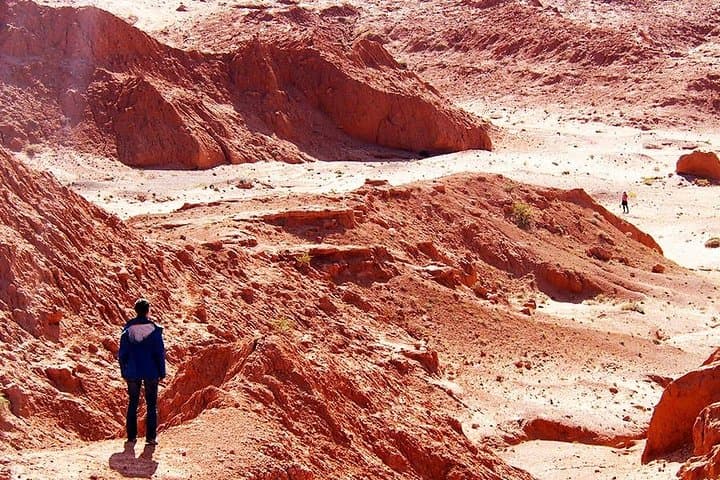 Colors of the Gobi: 7-Day Overland Journey to Khongoryn Els, Flaming Cliffs & Yoliin Am photo 4