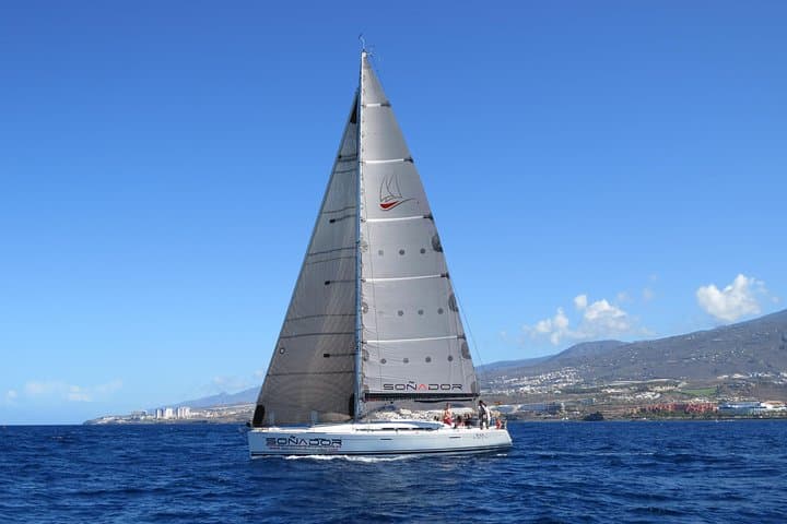 3-Hour Tenerife Whale & Dolphin Yacht Trip to Los Gigantes photo 2