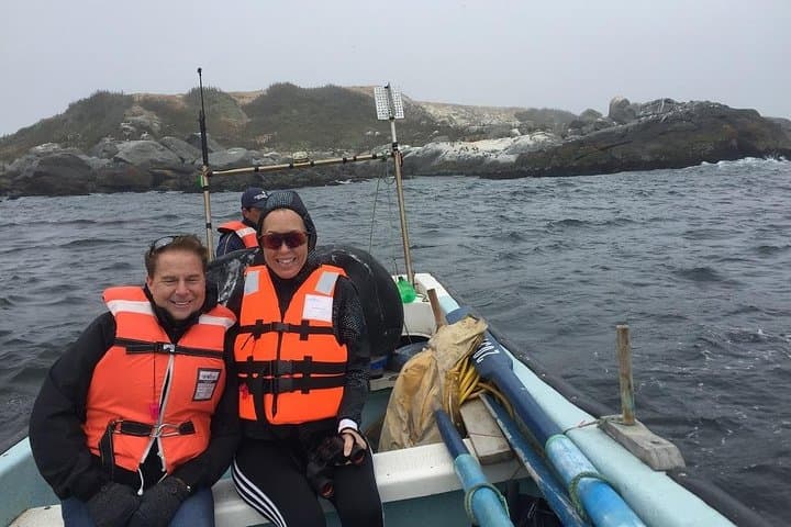 Penguin Watching and Horseback Riding in Cachagua — Private Day Trip from Valparaíso photo 5