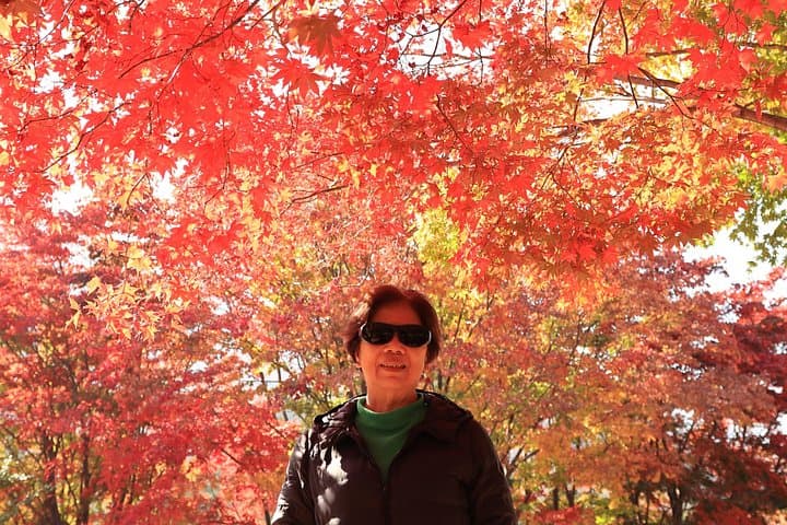 Private Mt. Seorak & East Sea: Custom 12‑Hour Tour with Guide and Photographer photo 4