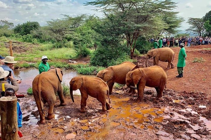 Exploring Nairobi: A Practical Guide to the Ultimate City Safari photo 2