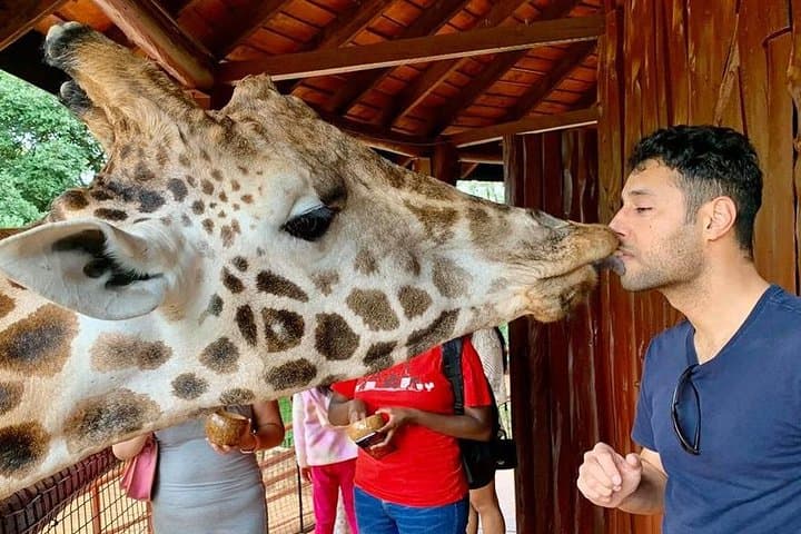 Exploring Nairobi: A Practical Guide to the Ultimate City Safari photo 3
