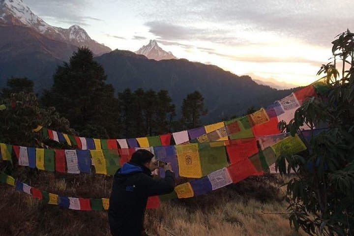 Poon Hill Trek: 4-Day Annapurna Sunrise Trek from Pokhara photo 5