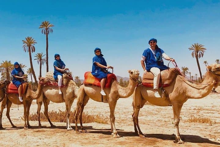 Camel Ride in Marrakech: Palmeraie Private Camel Trek