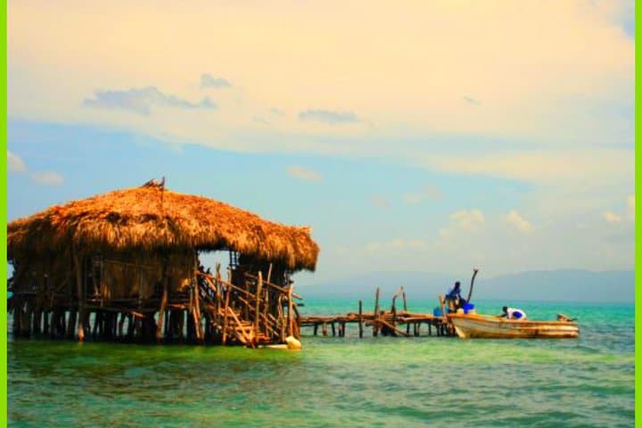 YS Falls, Black River Safari & Floyd Pelican Bar: Full-Day Falmouth Excursion photo 4