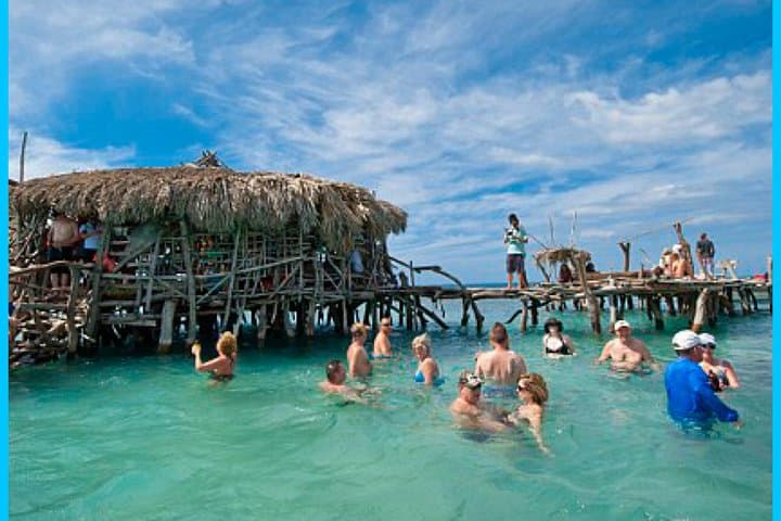 YS Falls, Black River Safari & Floyd Pelican Bar: Full-Day Falmouth Excursion