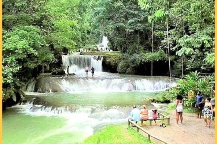 YS Falls, Black River Safari & Floyd Pelican Bar: Full-Day Falmouth Excursion photo 3