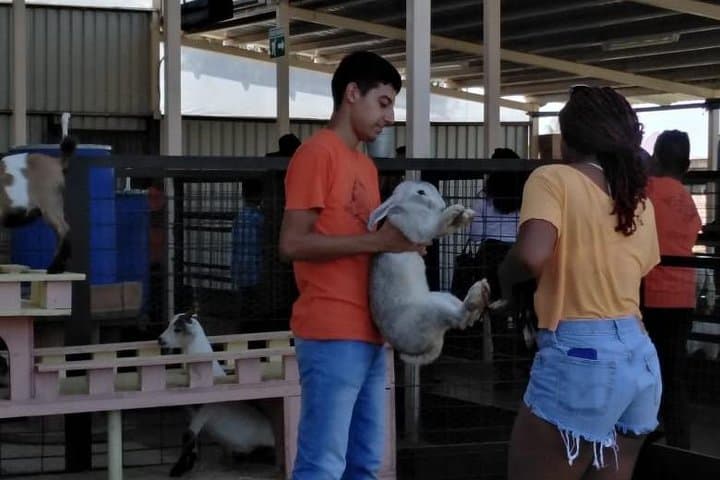 Exploring Ensenada: Pai Pai Zoo and Bufadora Private Tour Adventure photo 5