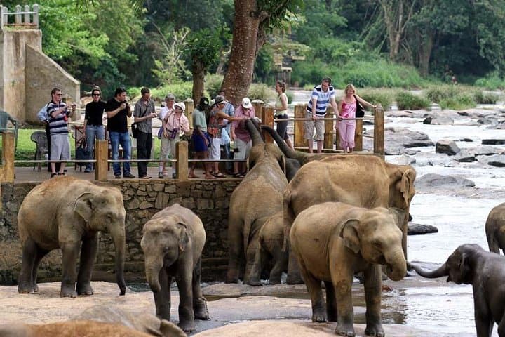 10-Day Sri Lanka Grand Circle: Cultural, Wildlife & Adventure Tour from Negombo photo 2