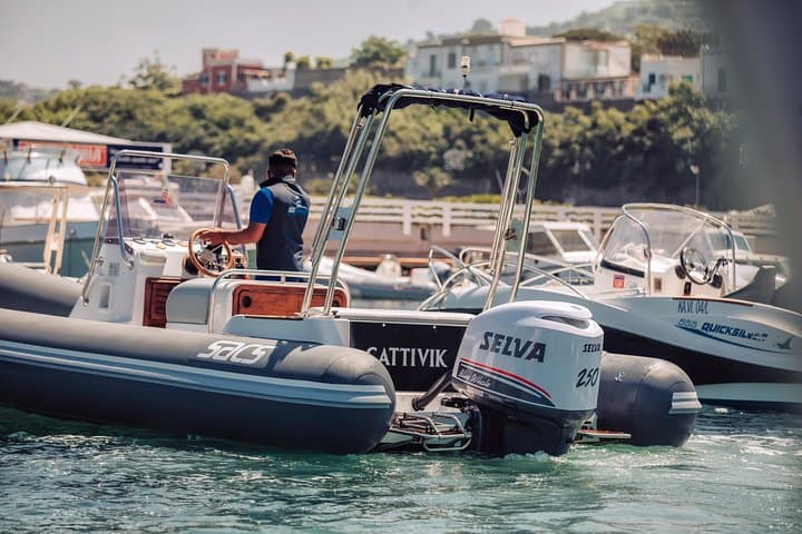 Private Capri Island Boat Tour from Ischia — Swim, Snorkel & Piazzetta Visit