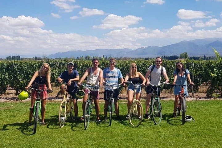 Self-Guided Bike Tour in Luján de Cuyo (Mendoza) — Malbec Wine Country Rental photo 1