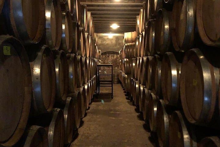 Self-Guided Bike Tour in Luján de Cuyo (Mendoza) — Malbec Wine Country Rental photo 3