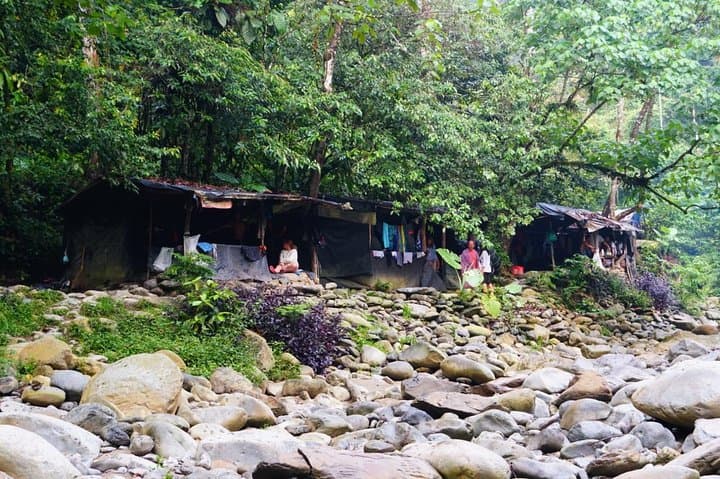 Three-Day Orangutan Trek in Gunung Leuser: Bukit Lawang Jungle Camping photo 6