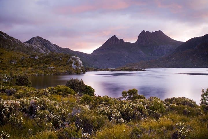 Cradle Mountain Day Tour — Private Charter from Launceston to Dove Lake photo 4