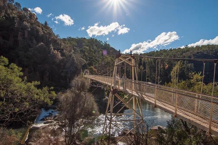 Launceston Day Tour: Private Charter to Tamar Valley, Cataract Gorge & Bridestowe Lavender photo 2