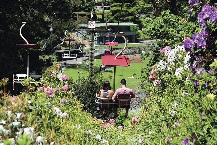 Launceston Day Tour: Private Charter to Tamar Valley, Cataract Gorge & Bridestowe Lavender photo 4