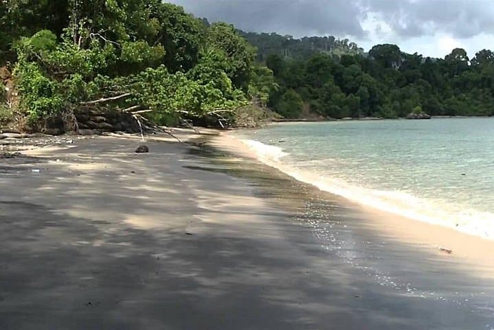 Langkawi Private Island Tour — 8-Hour Custom Driver-Guide to Kilim Geoforest & SkyCab photo 5
