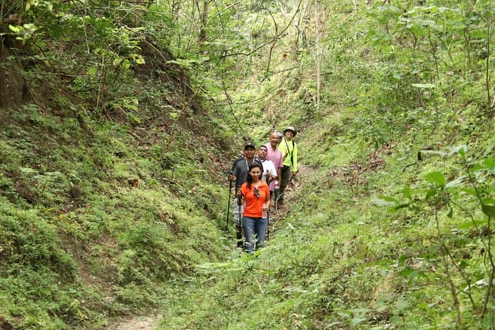 Sierra Vallejo Jungle Hike: 5km Beginner Trek in the Sierra Madre Occidental