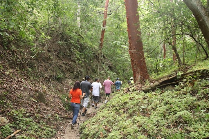Sierra Vallejo Jungle Hike: 5km Beginner Trek in the Sierra Madre Occidental photo 2